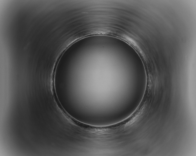 X0000088480802200705291626