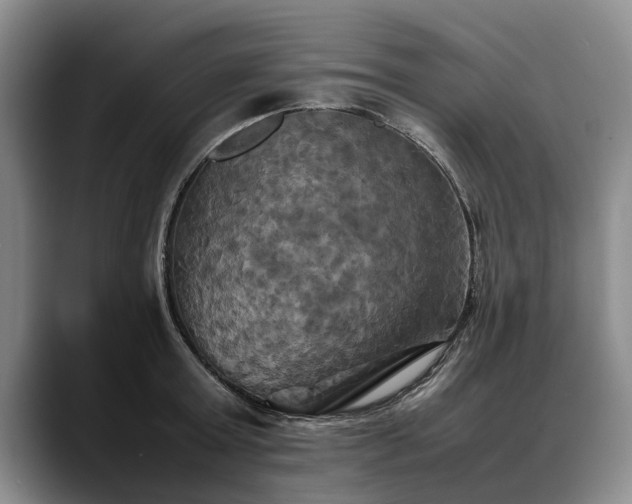 X0000088480803200705291626