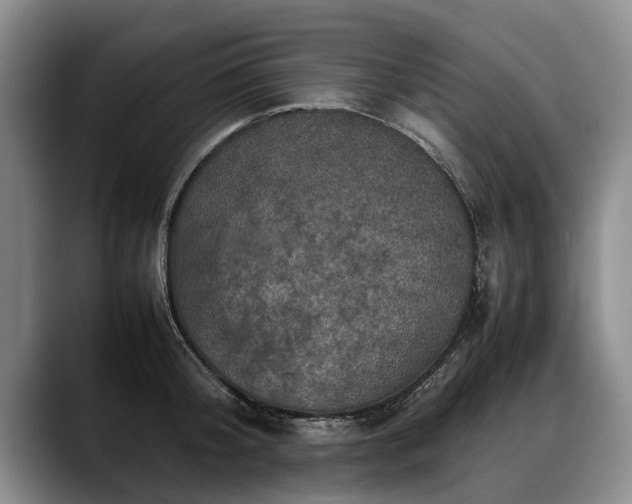 X0000088480804200705291626