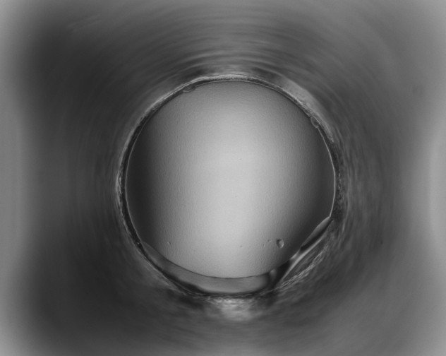 X0000088480805200705291626