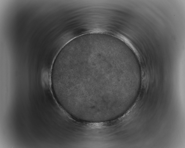 X0000088480810200705291626