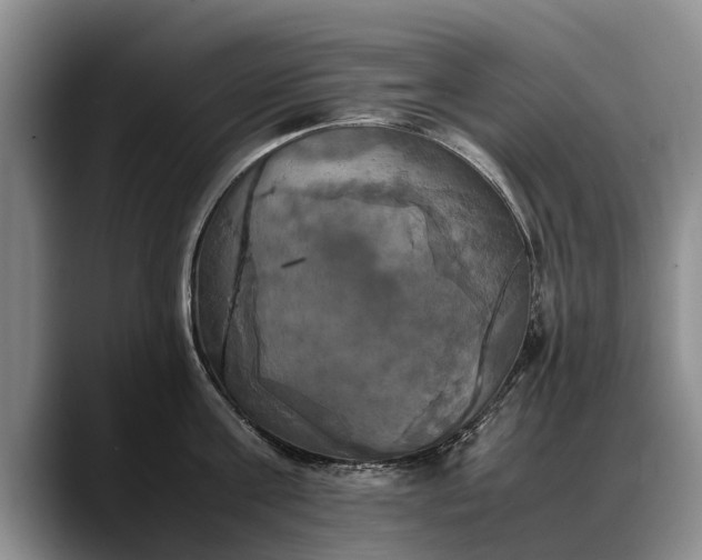 X0000088480811200705291626