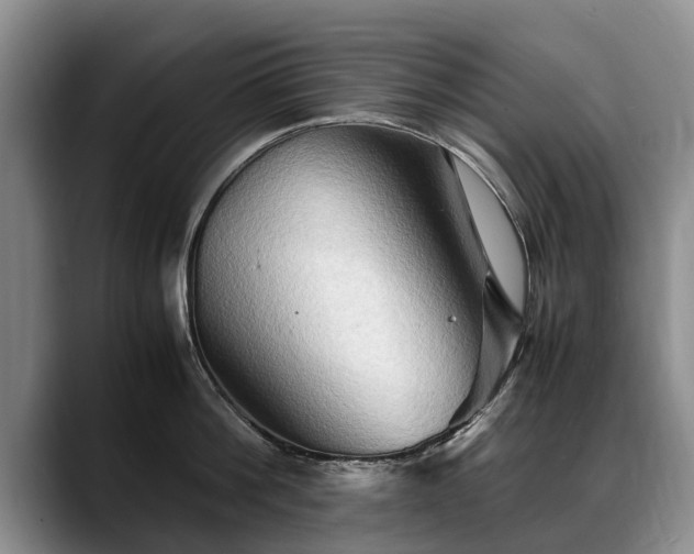 X0000088480812200705291626
