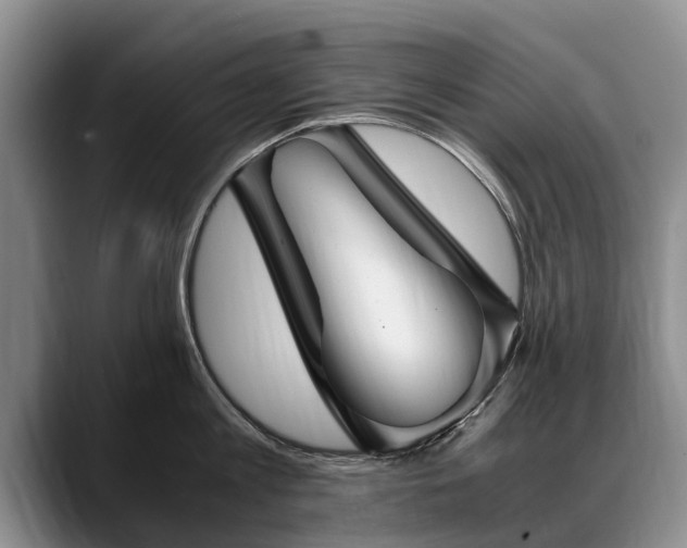 X0000088480813200705291626