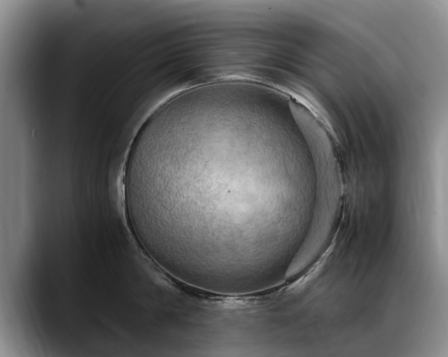 X0000088480814200705291626