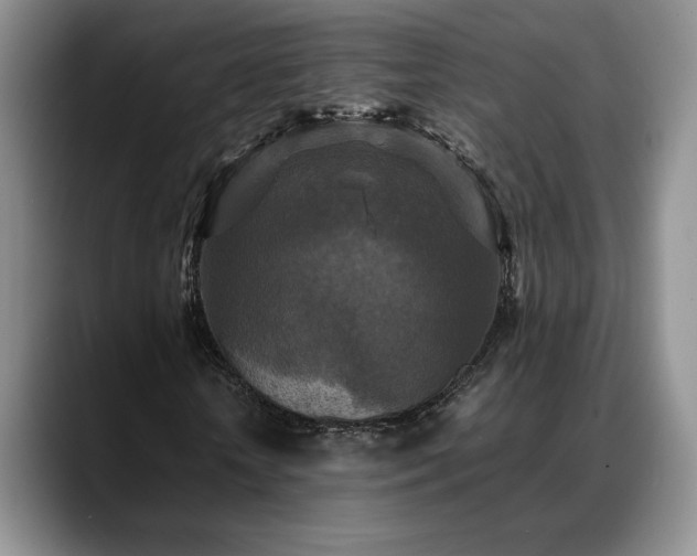 X0000088480818200705291625