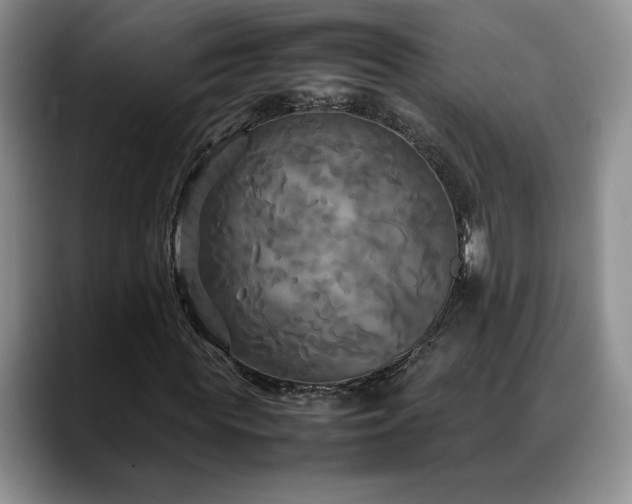 X0000088480819200705291625
