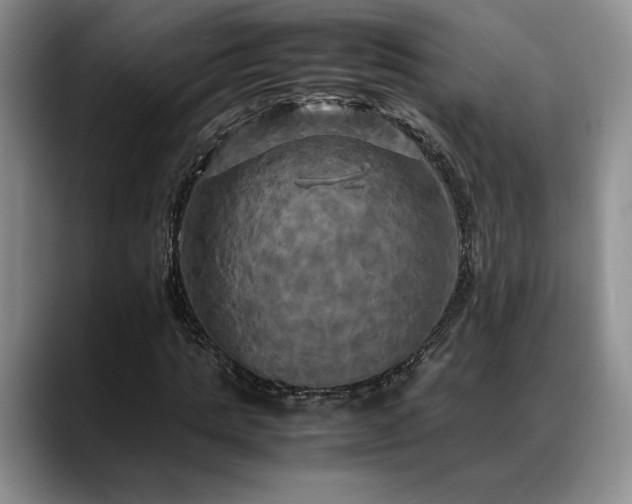 X0000088480821200705291625