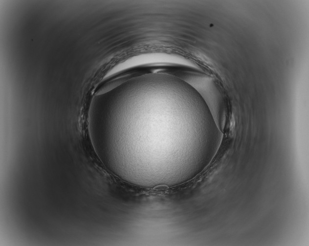X0000088480822200705291625