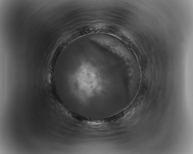 X0000088480823200705291625