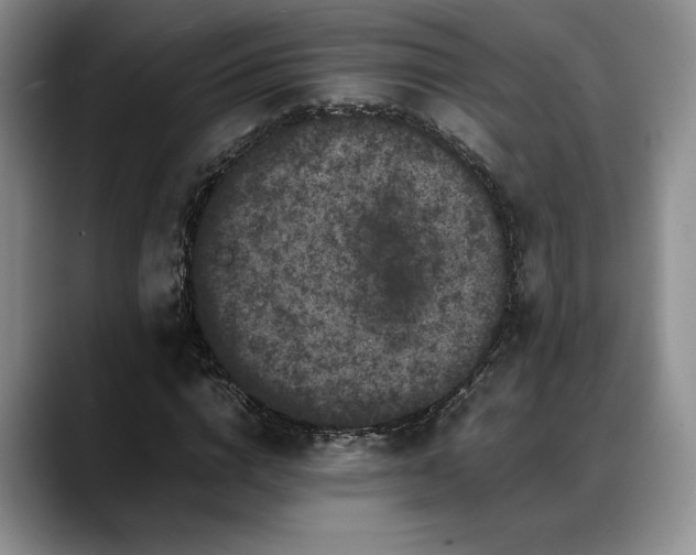 X0000088480824200705291625