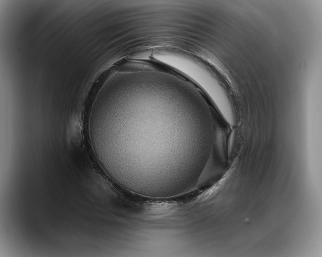 X0000088480826200705291625