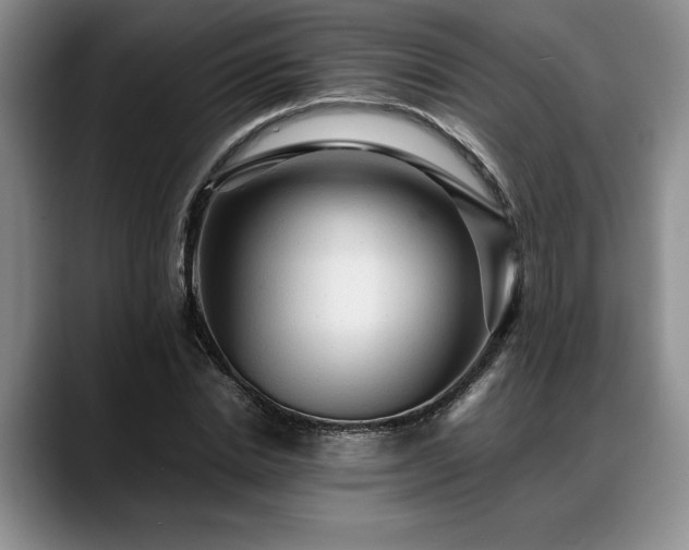 X0000088480830200705291626