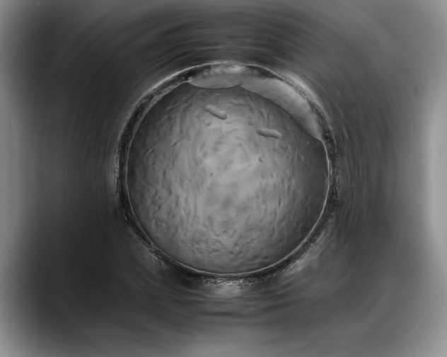 X0000088480831200705291626