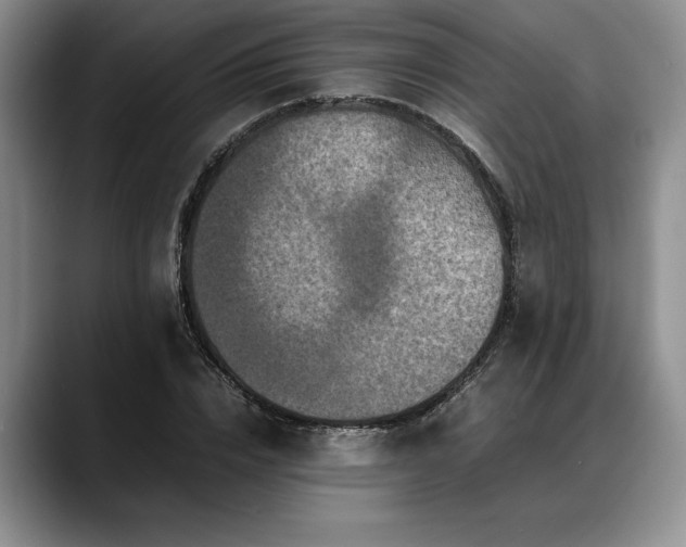 X0000088480832200705291626