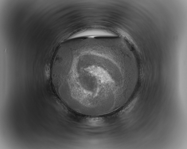 X0000088480833200705291626