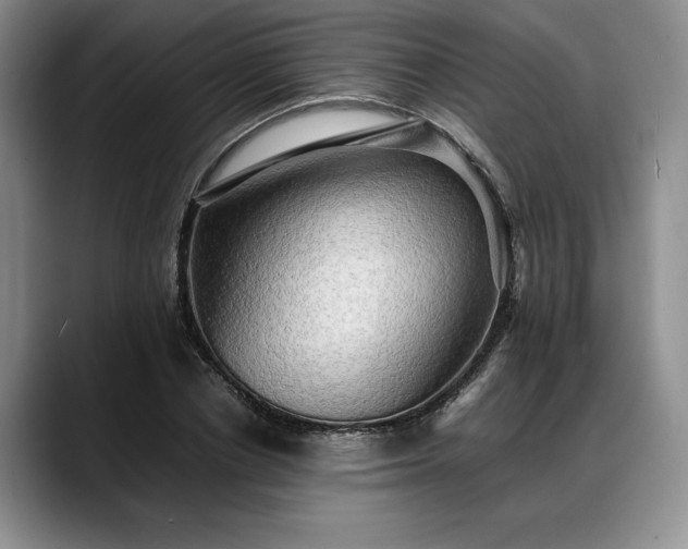 X0000088480834200705291626
