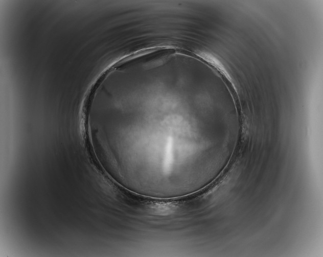 X0000088480835200705291626