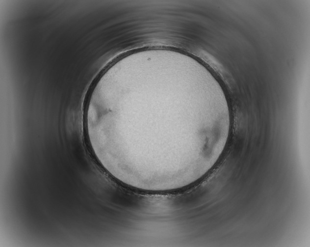 X0000088480836200705291626