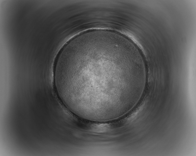 X0000088480837200705291626