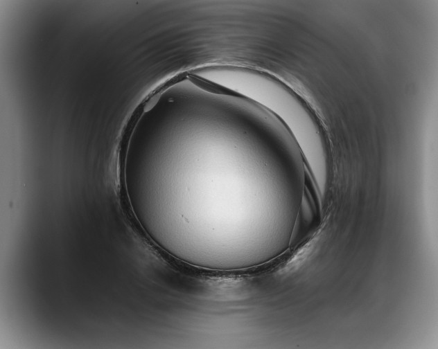 X0000088480838200705291626