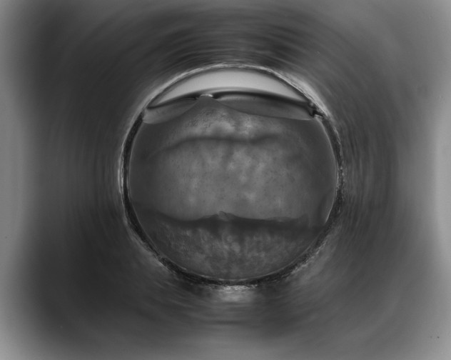 X0000088480839200705291626