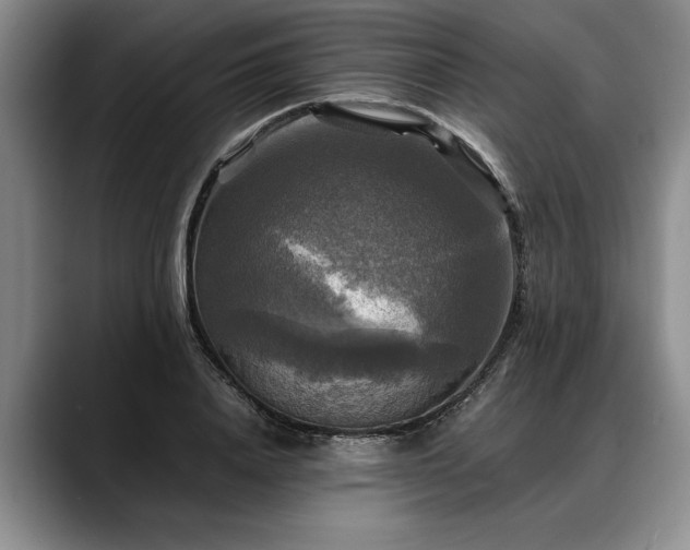 X0000088480840200705291626