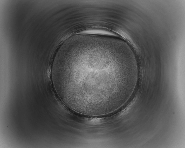 X0000088480841200705291626