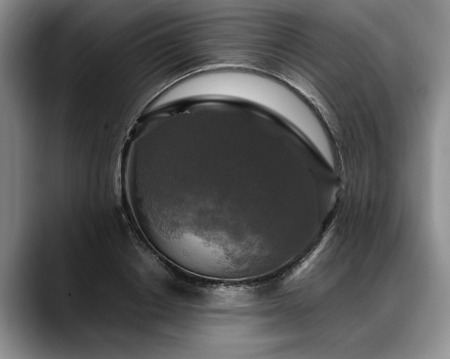 X0000088480842200705291626