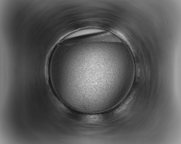 X0000088480843200705291626