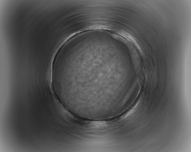 X0000088480844200705291626