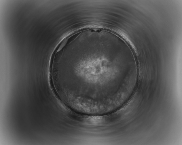 X0000088480845200705291626