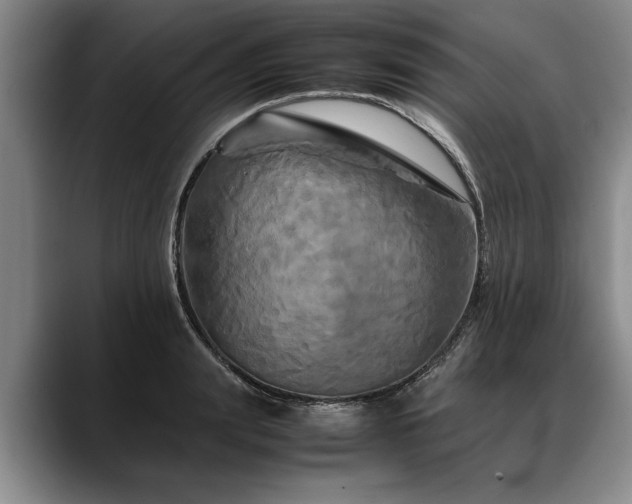 X0000088480847200705291626