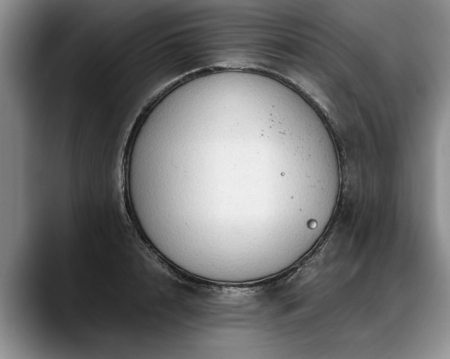 X0000088480848200705291626
