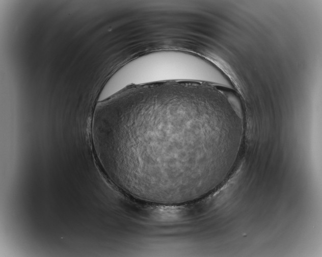 X0000088480849200705291626