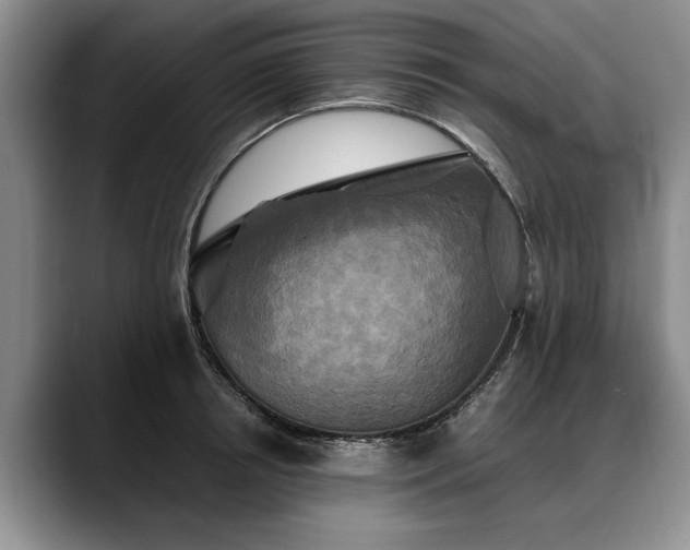 X0000088480850200705291626