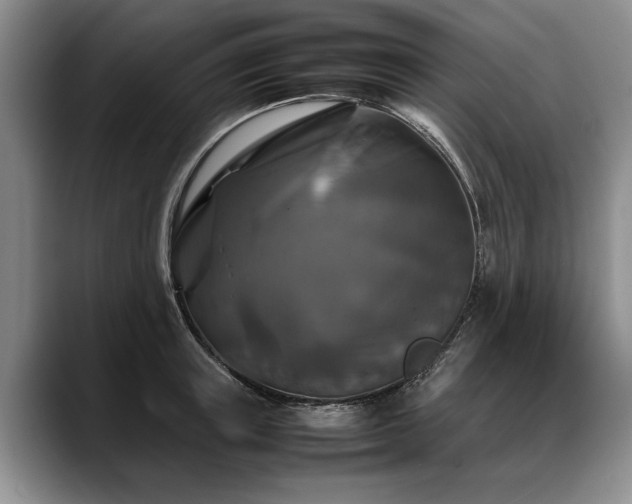 X0000088480851200705291626