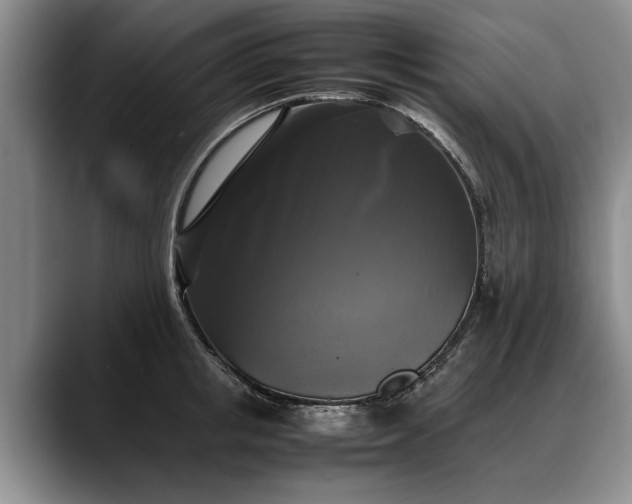X0000088480853200705291626