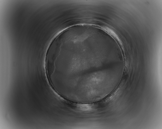 X0000088480855200705291626