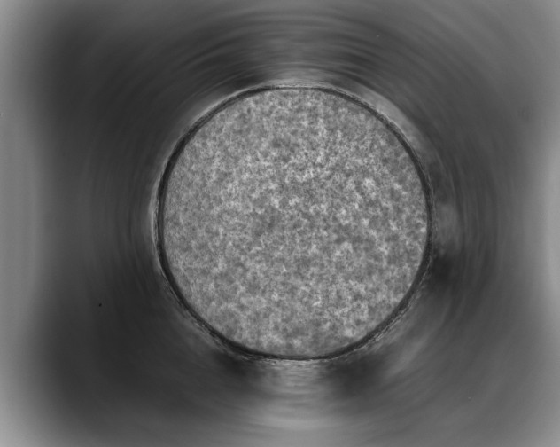 X0000088480856200705291626
