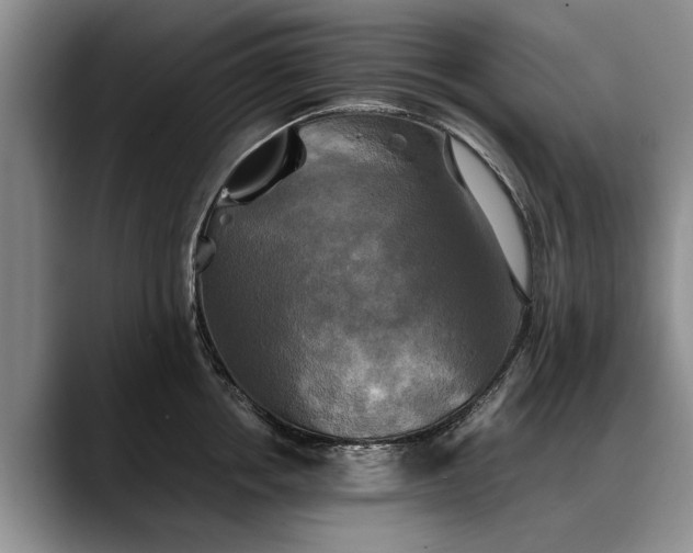 X0000088480858200705291626