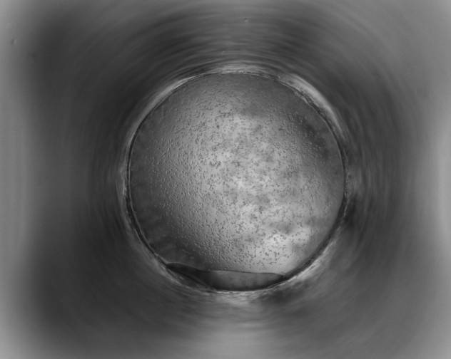 X0000088480860200705291626