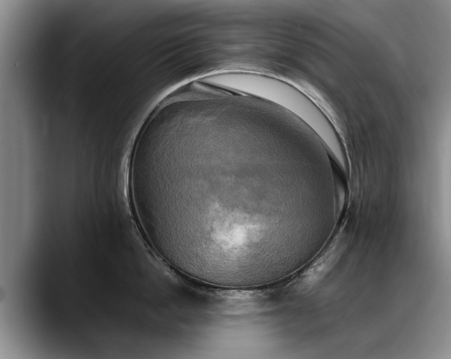 X0000088480862200705291626