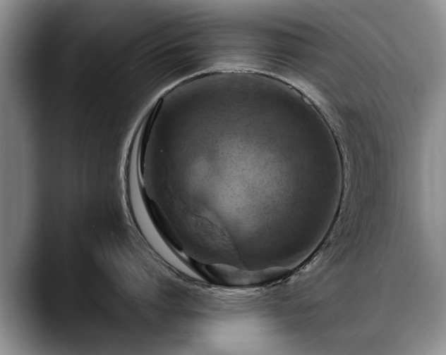 X0000088480864200705291626