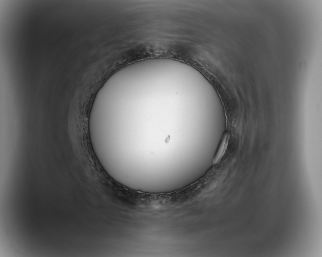 X0000088480865200705291625