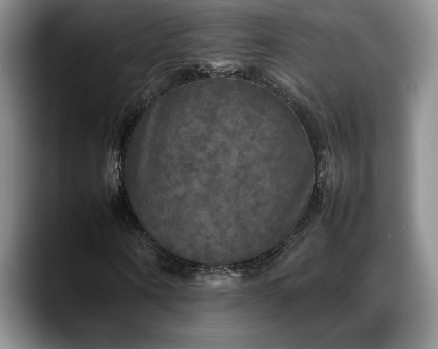 X0000088480866200705291625