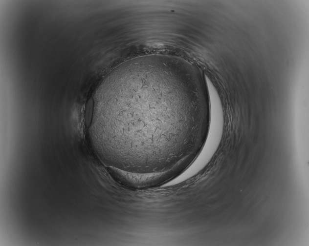 X0000088480868200705291625