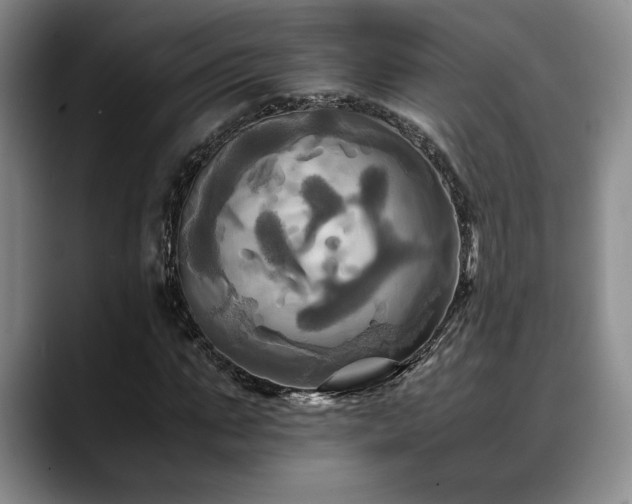 X0000088480871200705291625