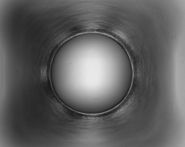 X0000088480873200705291625