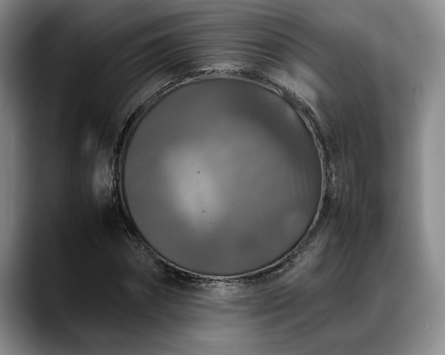 X0000088480874200705291625